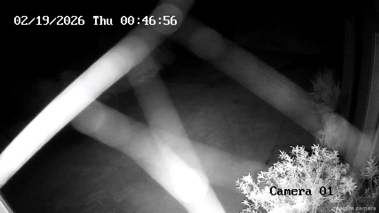 Capture from Feb 19, 2026 at 12:49 AM