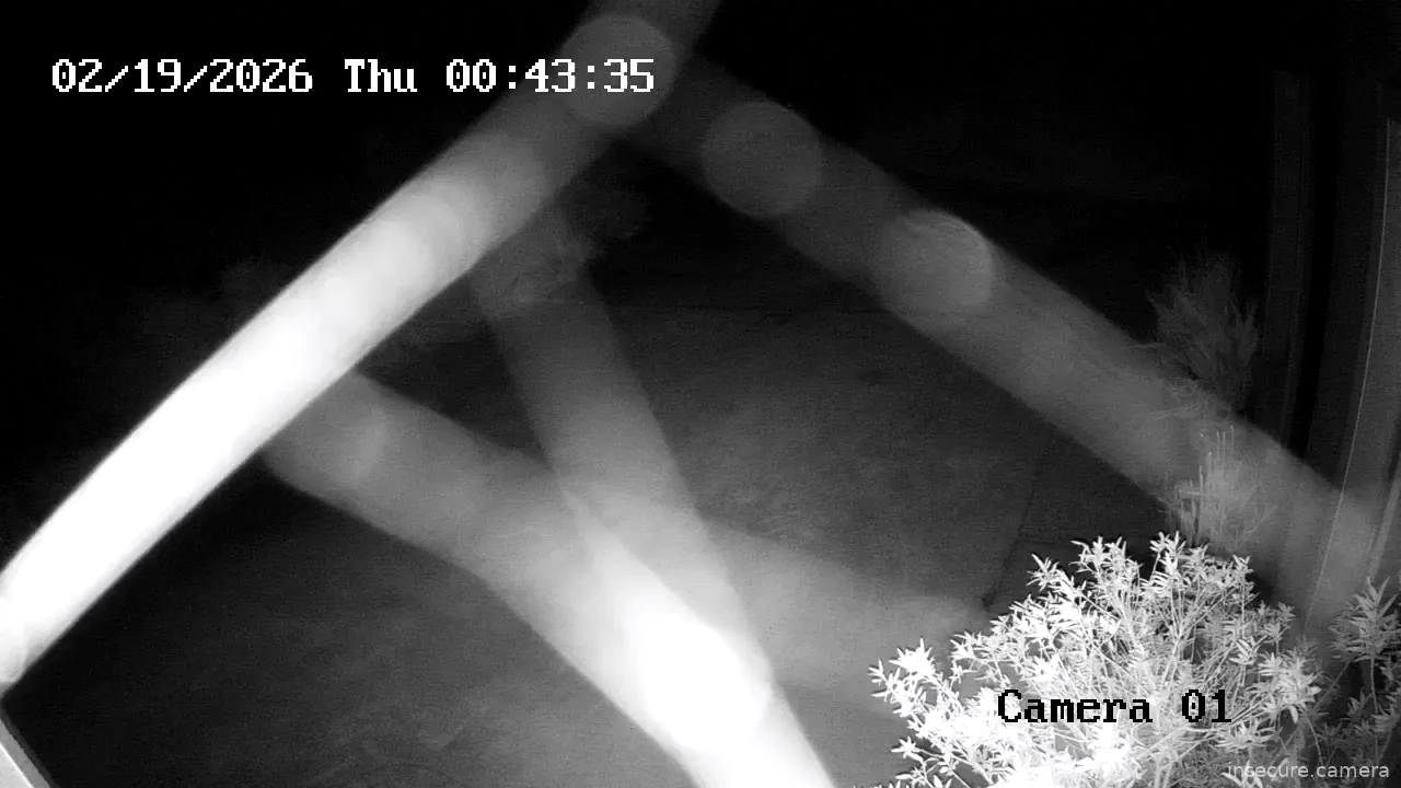 Capture from Feb 19, 2026 at 12:45 AM