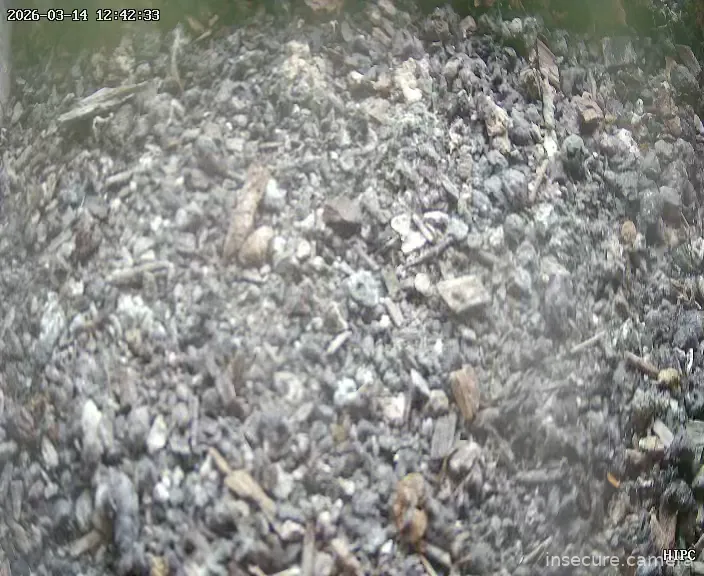 Capture from Mar 14, 2026 at 11:42 AM