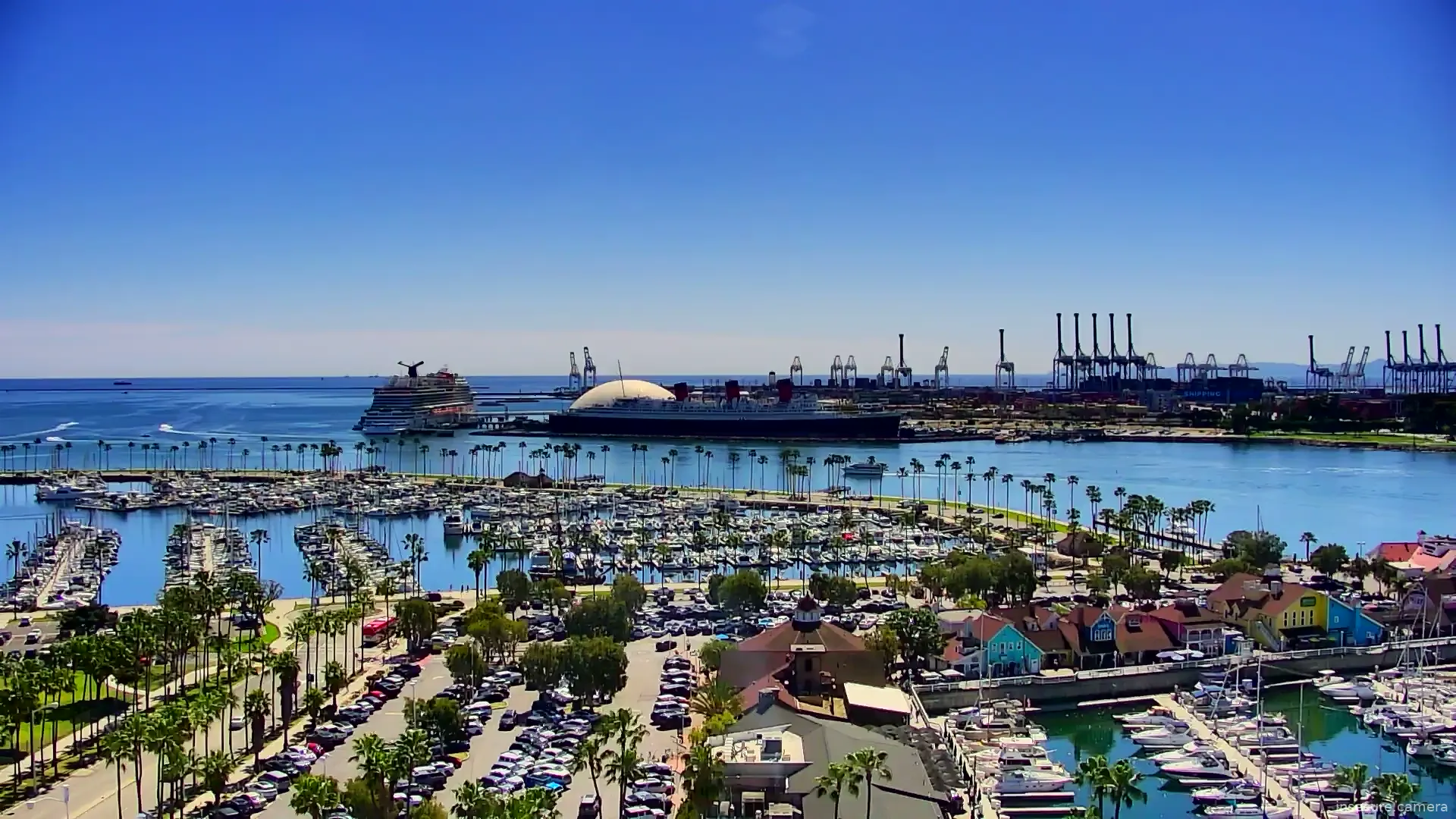 Capture from Mar 08, 2026 at 08:23 PM