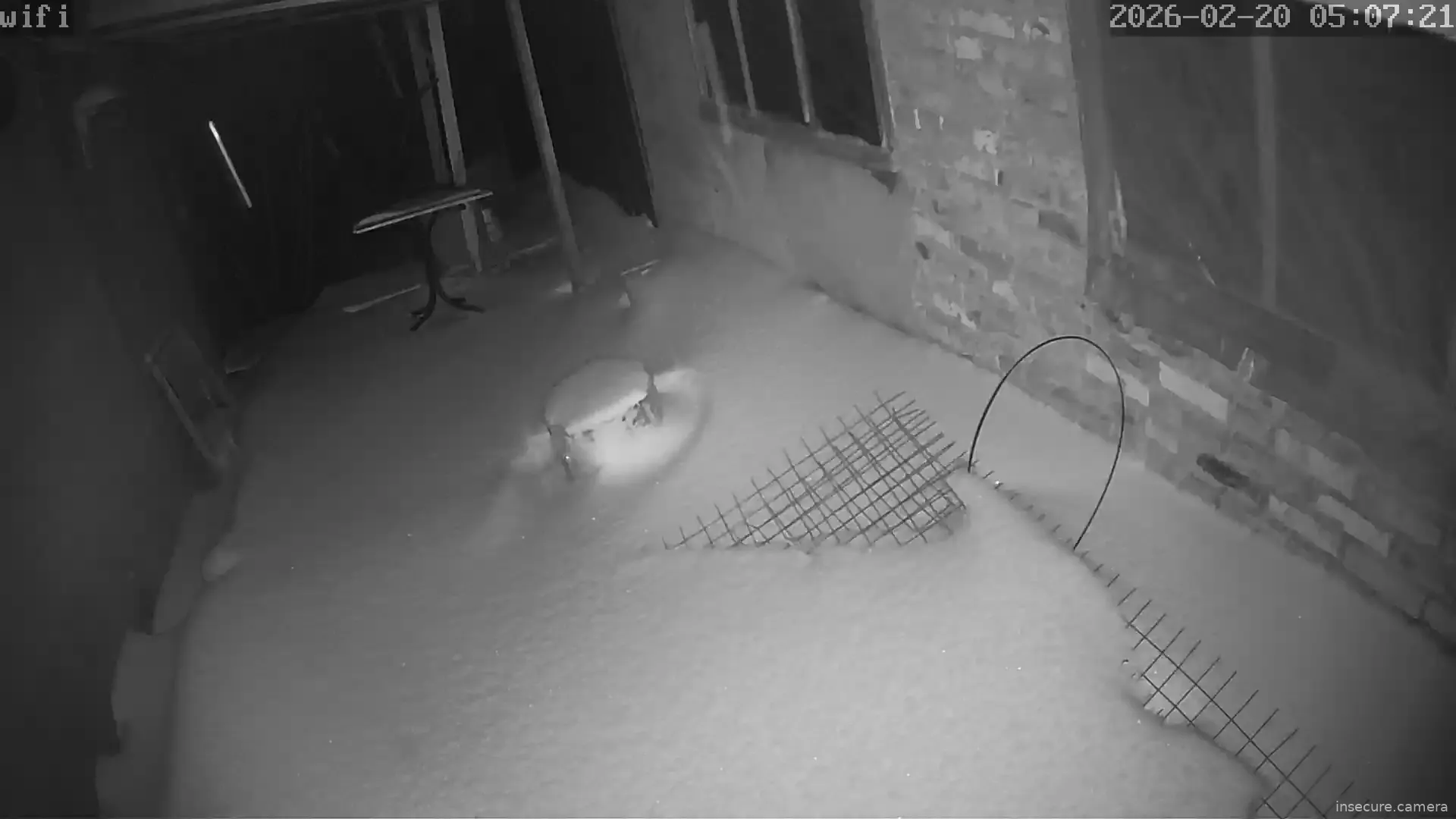 Capture from Feb 20, 2026 at 03:07 AM