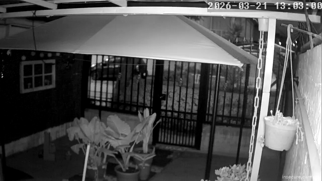 Capture from Mar 21, 2026 at 05:03 AM