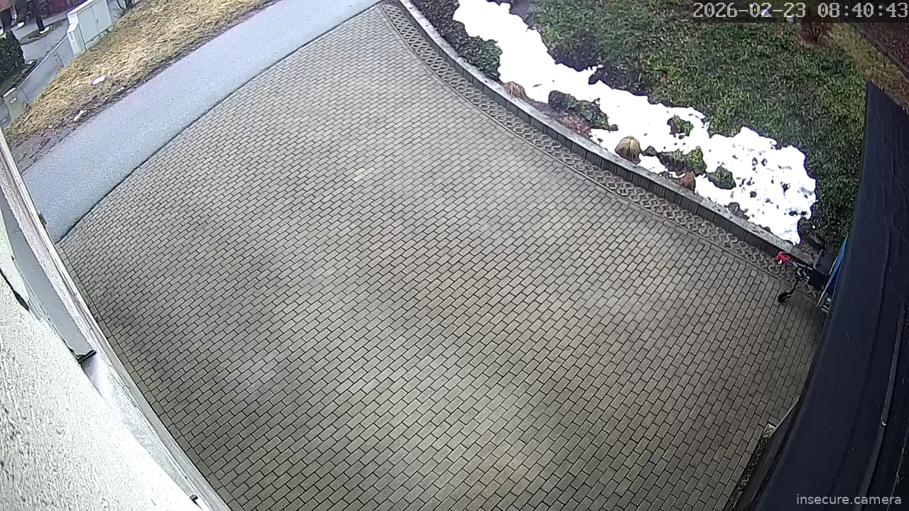 Camera in Germany
