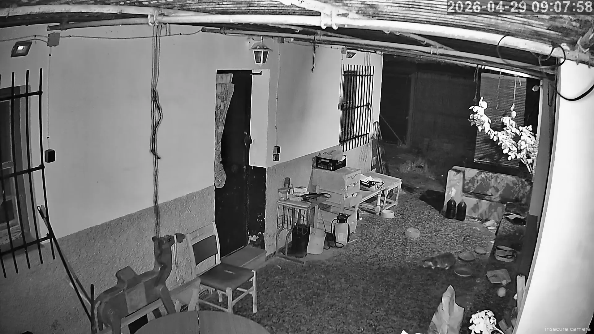 Capture from Apr 29, 2026 at 01:08 AM