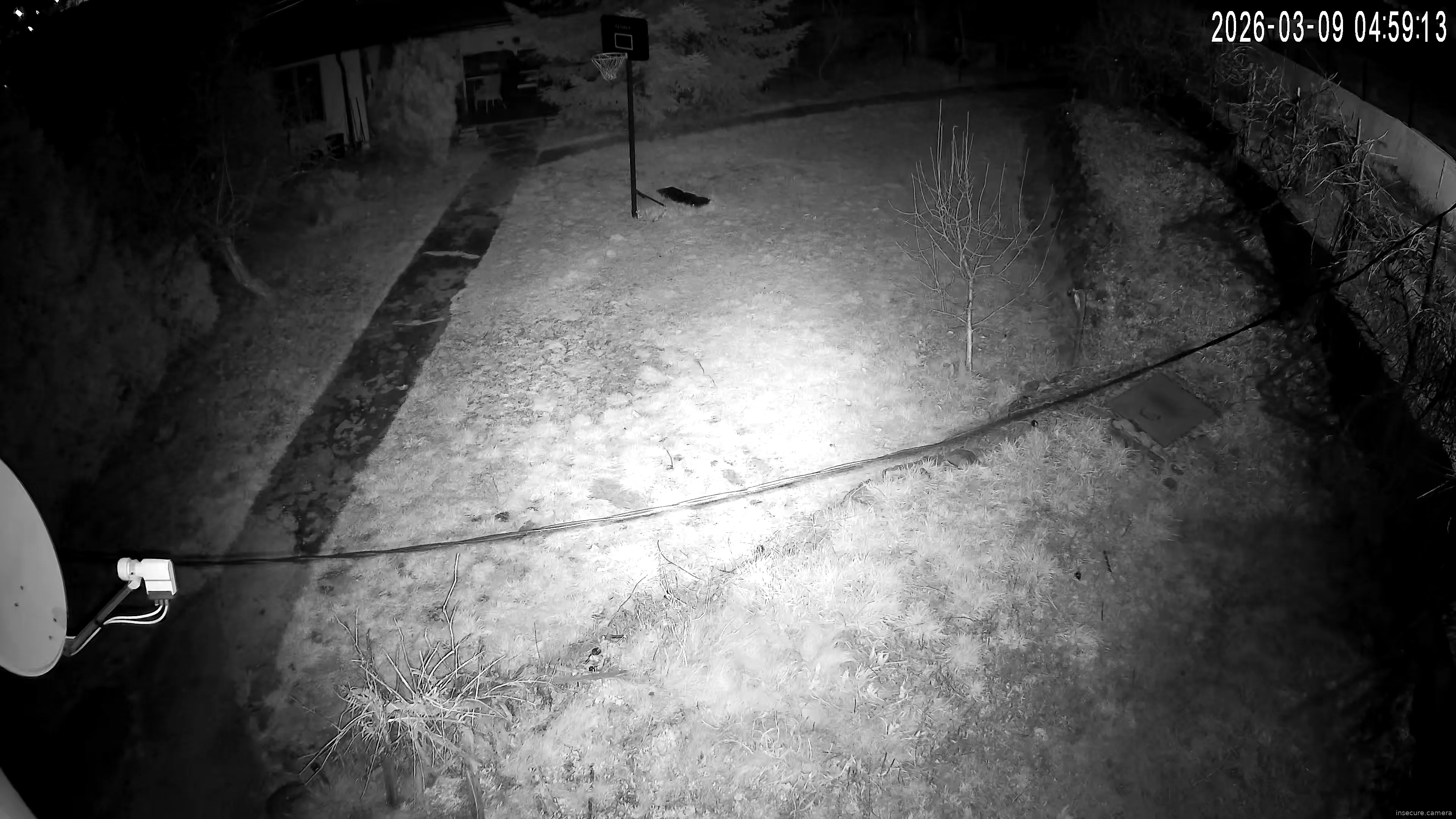 Capture from Mar 09, 2026 at 03:00 AM