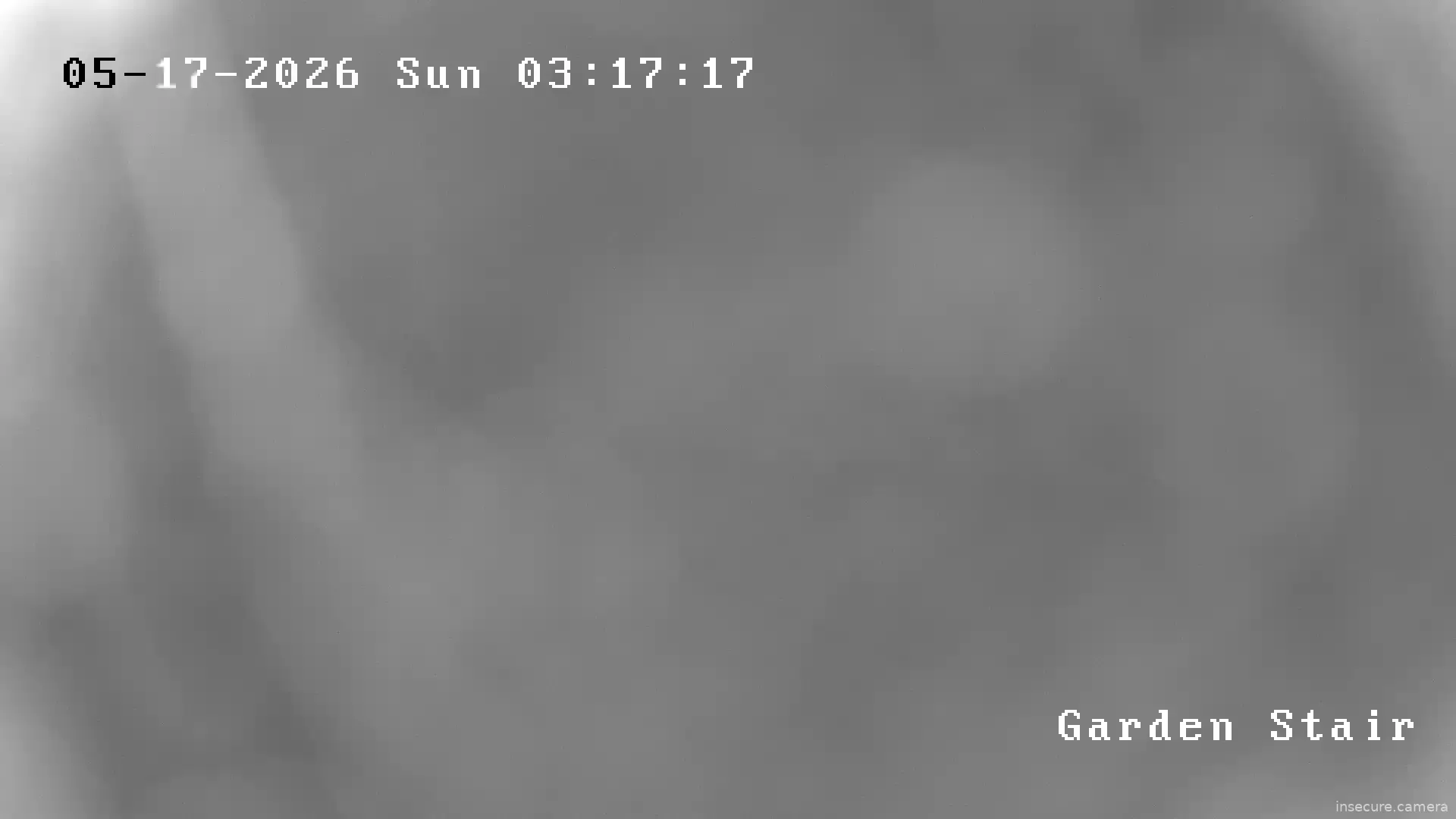 Camera in Ireland