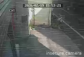 Capture from Feb 19, 2026 at 08:09 AM