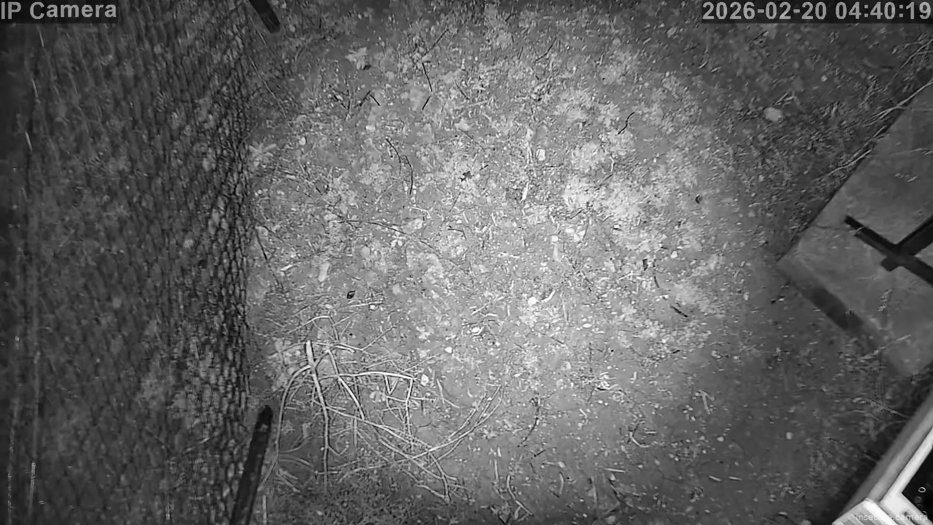 Capture from Feb 20, 2026 at 01:41 AM