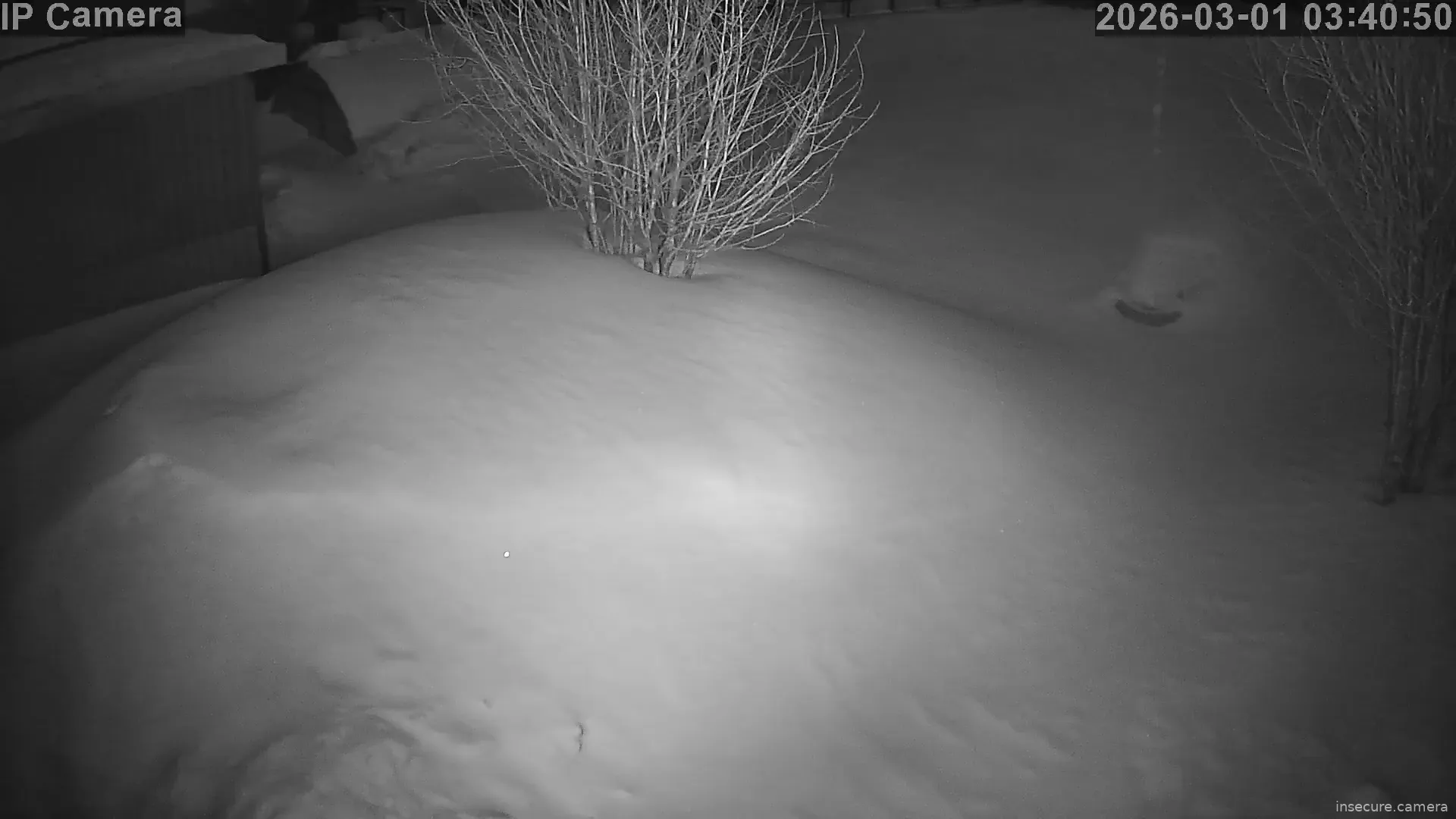 Capture from Feb 28, 2026 at 08:41 PM