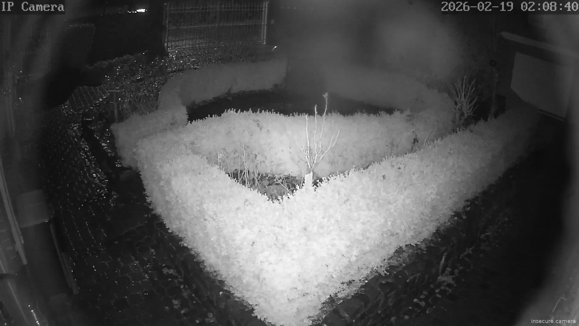 Capture from Feb 19, 2026 at 01:08 AM