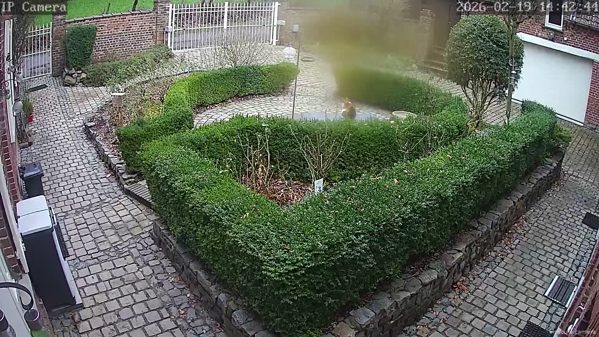 Capture from Feb 19, 2026 at 01:42 PM