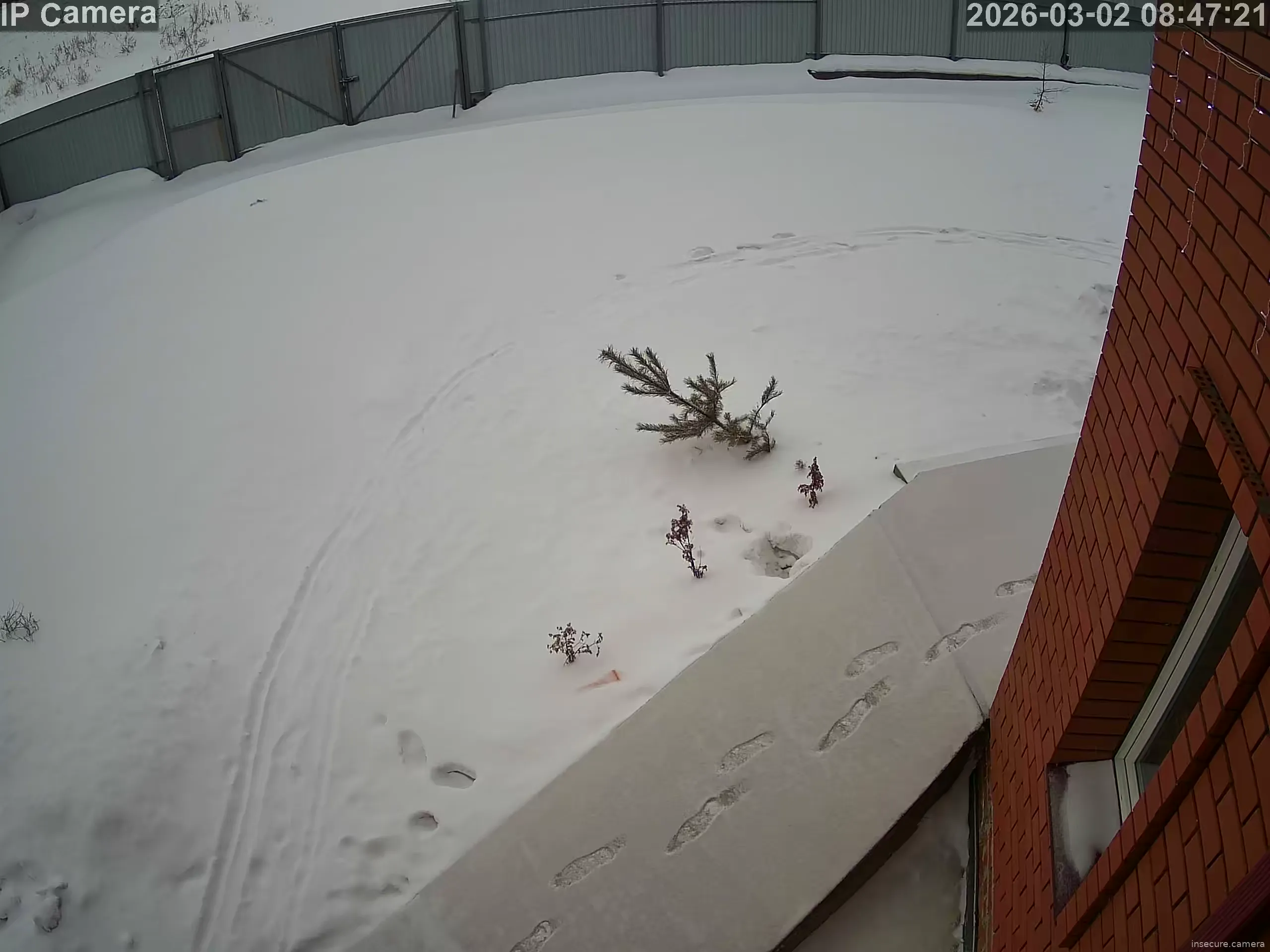 Capture from Mar 02, 2026 at 03:47 AM