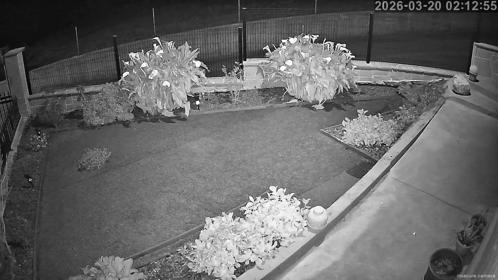 Capture from Mar 20, 2026 at 01:13 AM