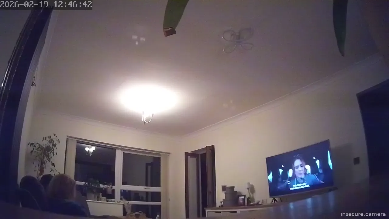 Capture from Feb 19, 2026 at 08:47 PM