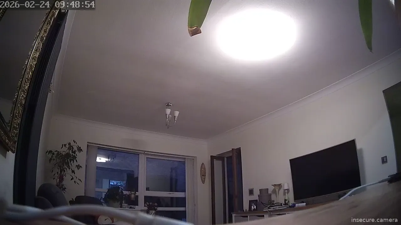 Capture from Feb 24, 2026 at 05:49 PM