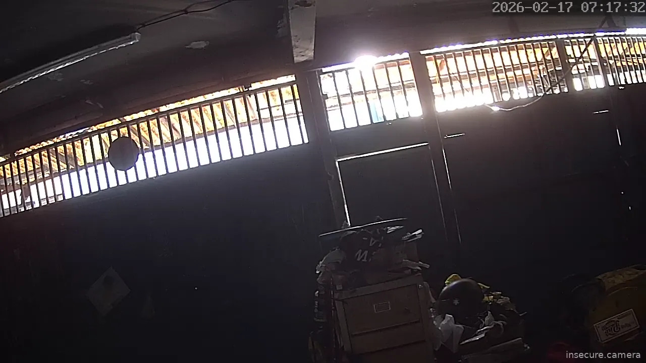 Camera in French Polynesia