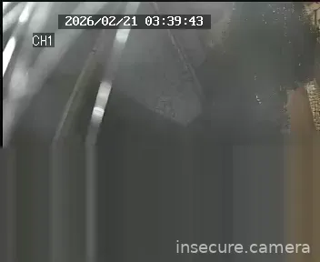 Capture from Feb 21, 2026 at 01:49 AM