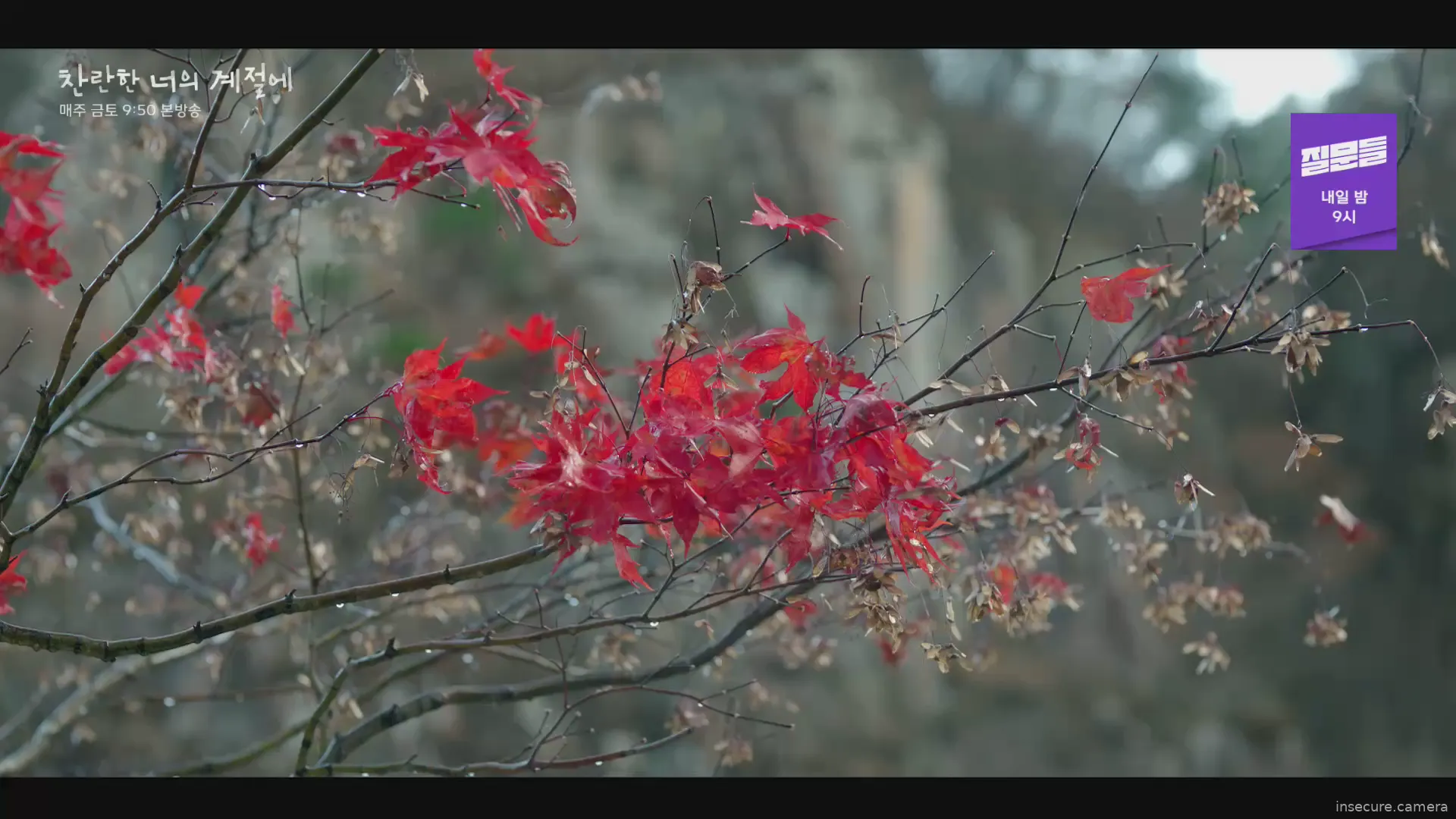 Capture from Mar 03, 2026 at 12:53 PM