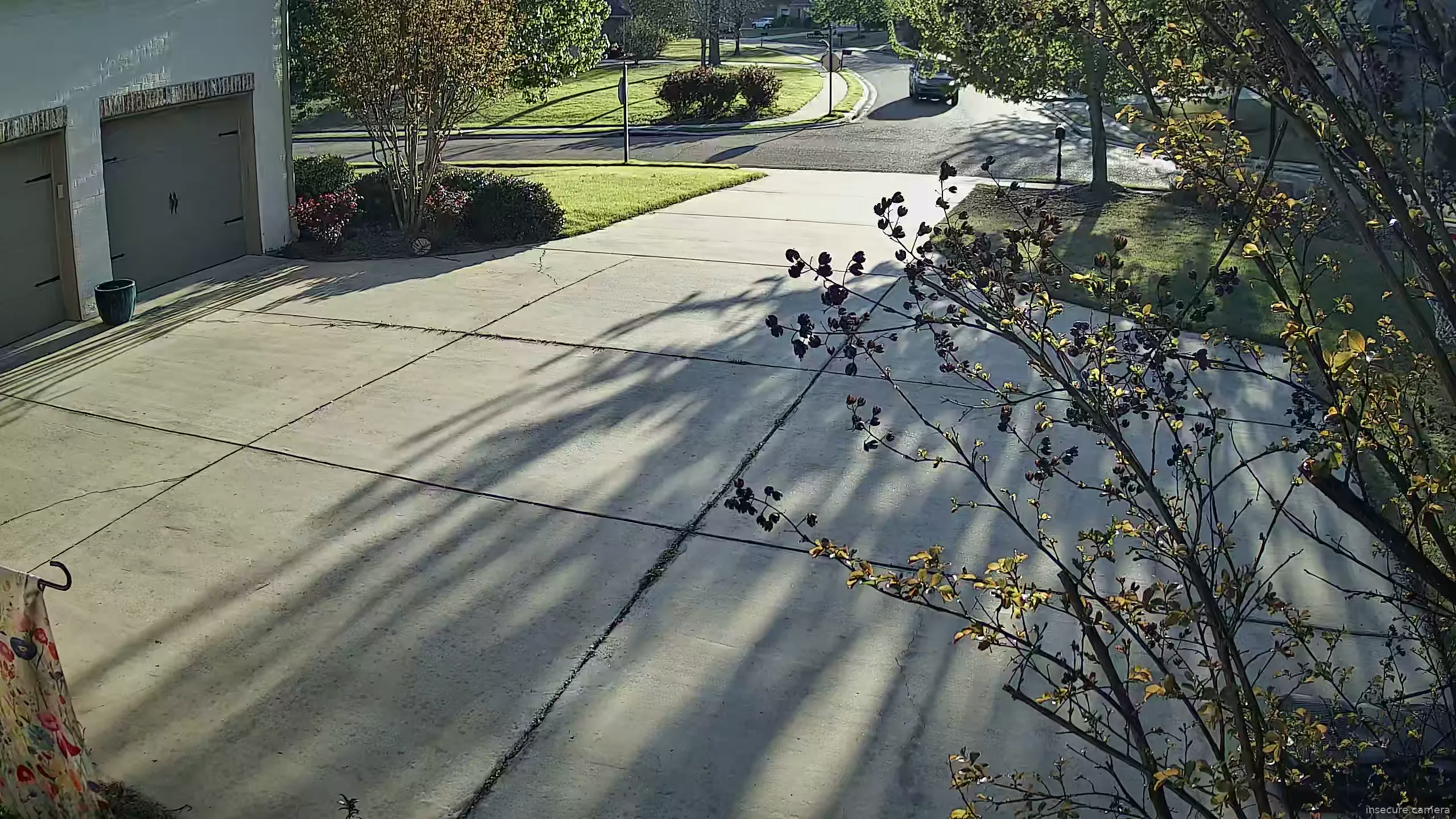 Camera in United States