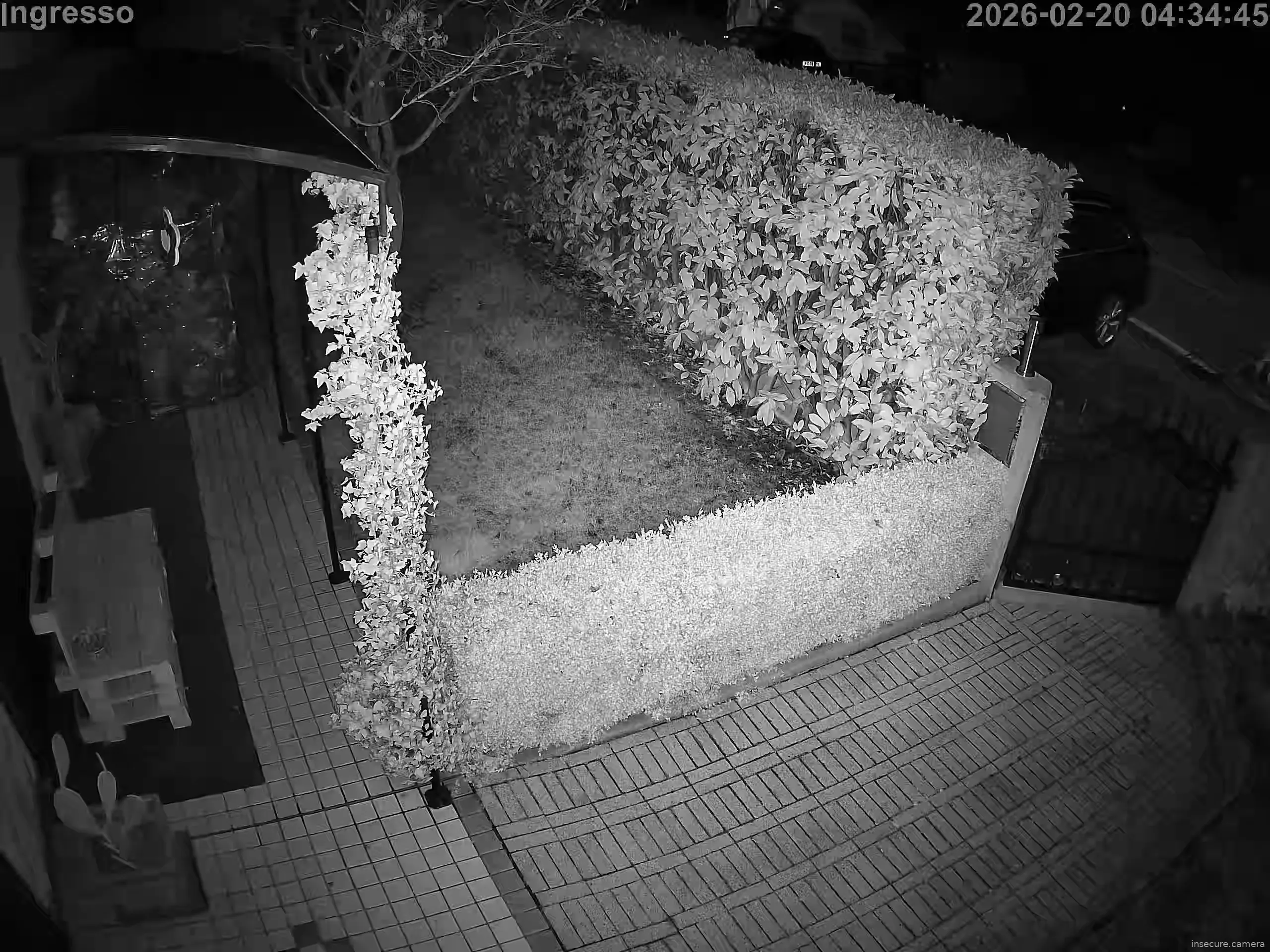 Capture from Feb 20, 2026 at 03:35 AM