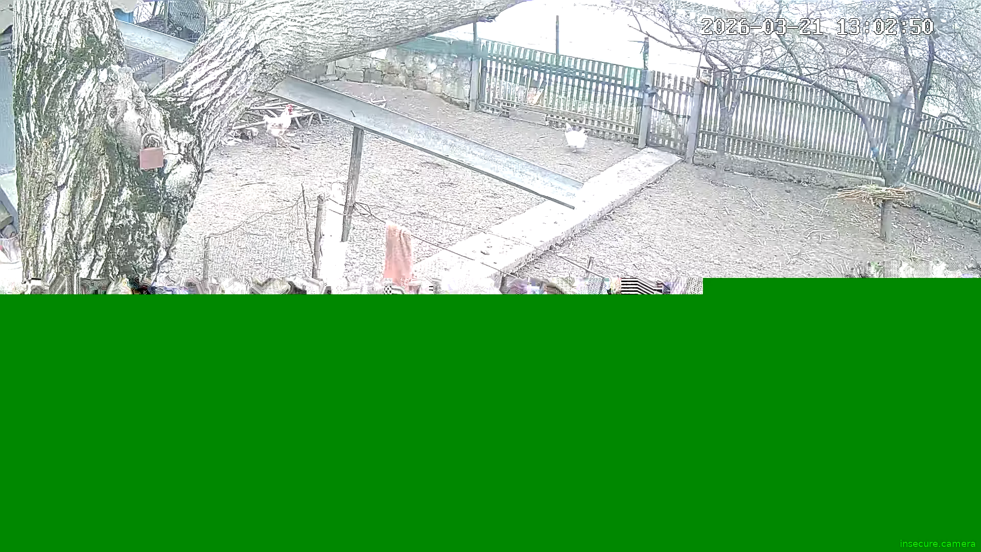 Capture from Mar 21, 2026 at 11:03 AM