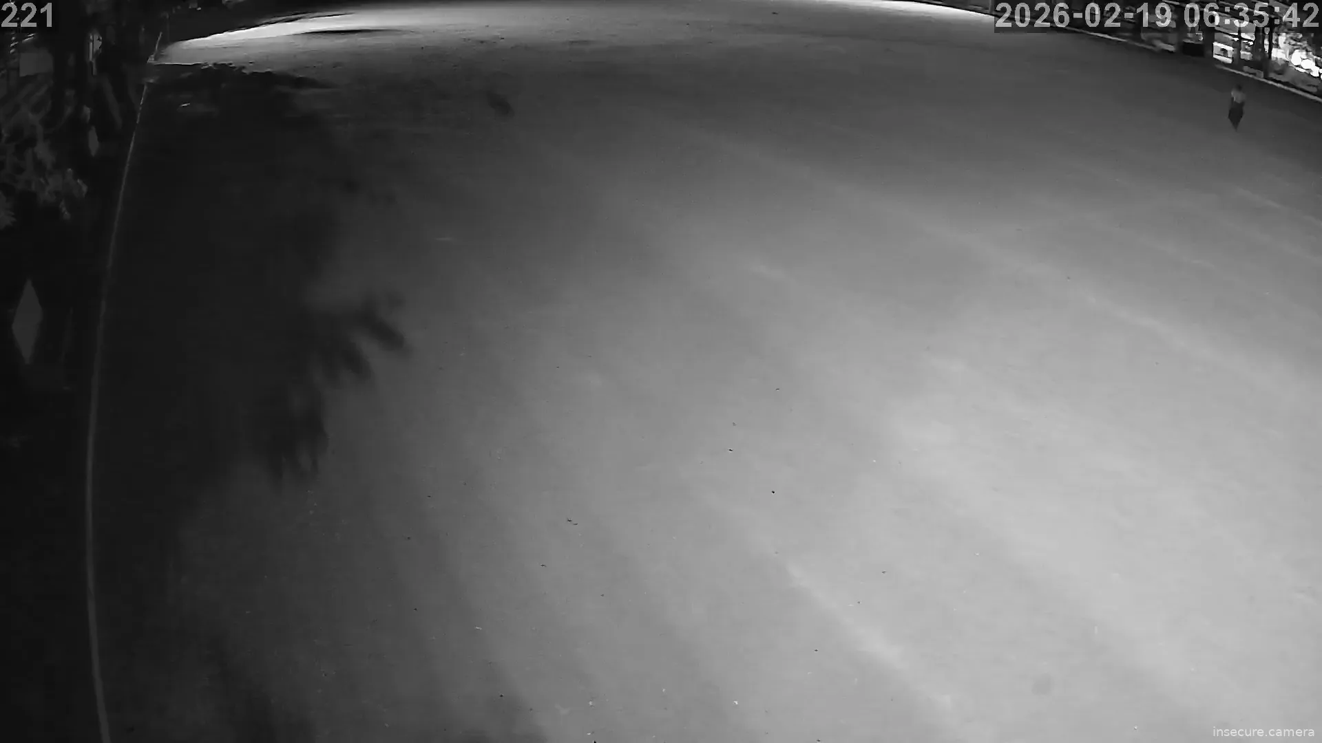 Capture from Feb 19, 2026 at 01:06 AM