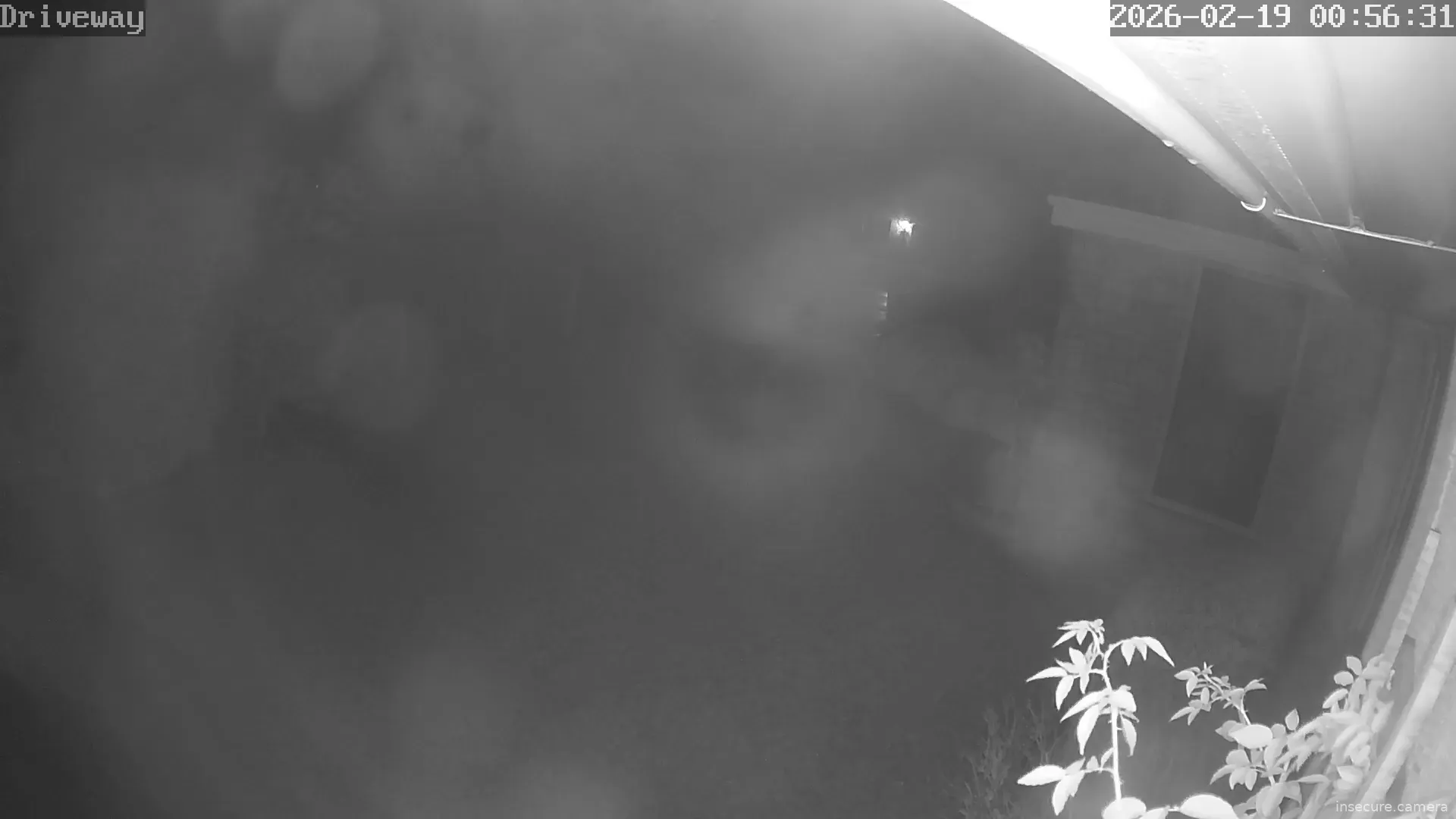 Capture from Feb 19, 2026 at 12:56 AM