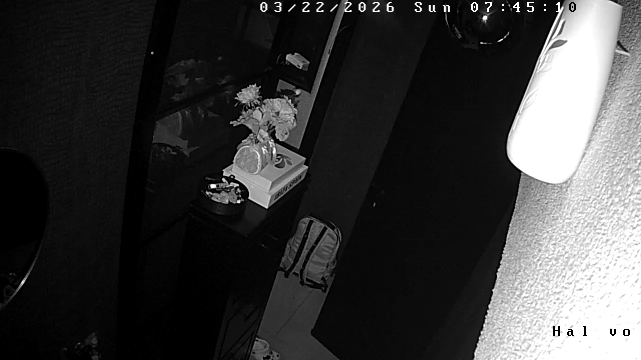 Camera in Netherlands