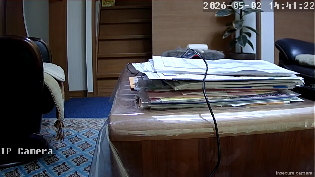 Camera in Japan