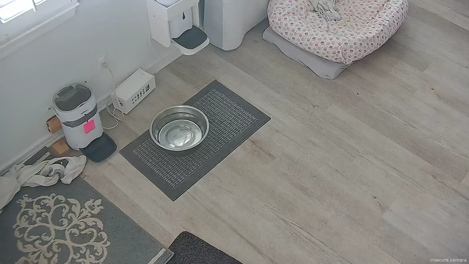 Camera in United States