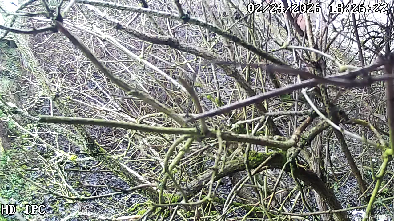 Capture from Feb 24, 2026 at 10:23 AM