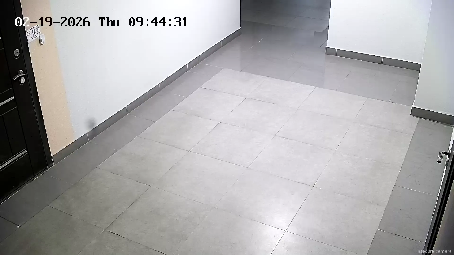 Capture from Feb 19, 2026 at 06:44 AM