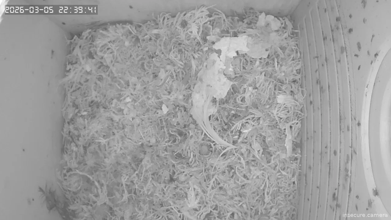 Capture from Mar 05, 2026 at 09:40 PM