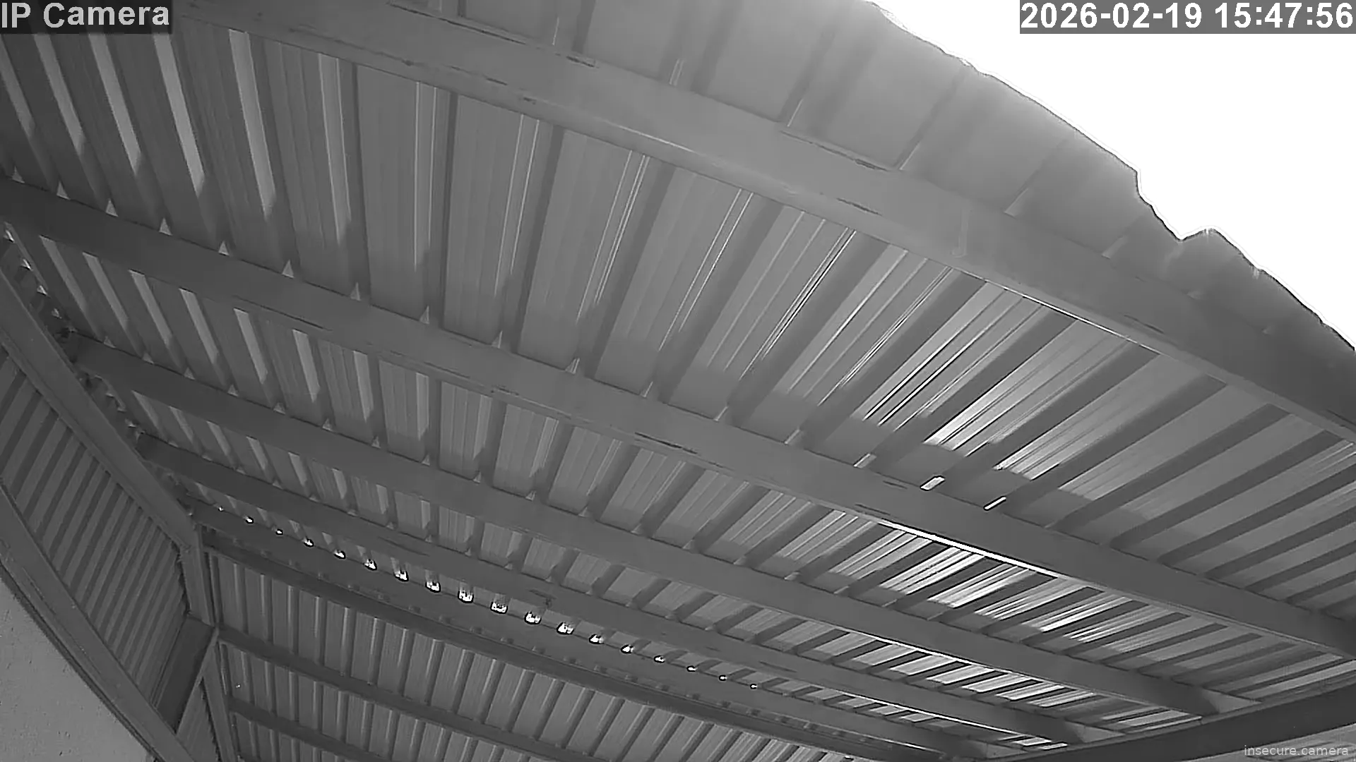 Capture from Feb 19, 2026 at 07:48 AM