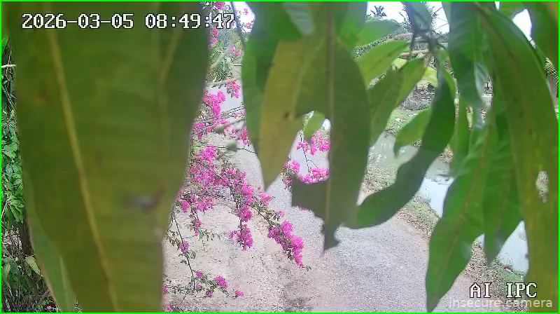 Camera in Vietnam