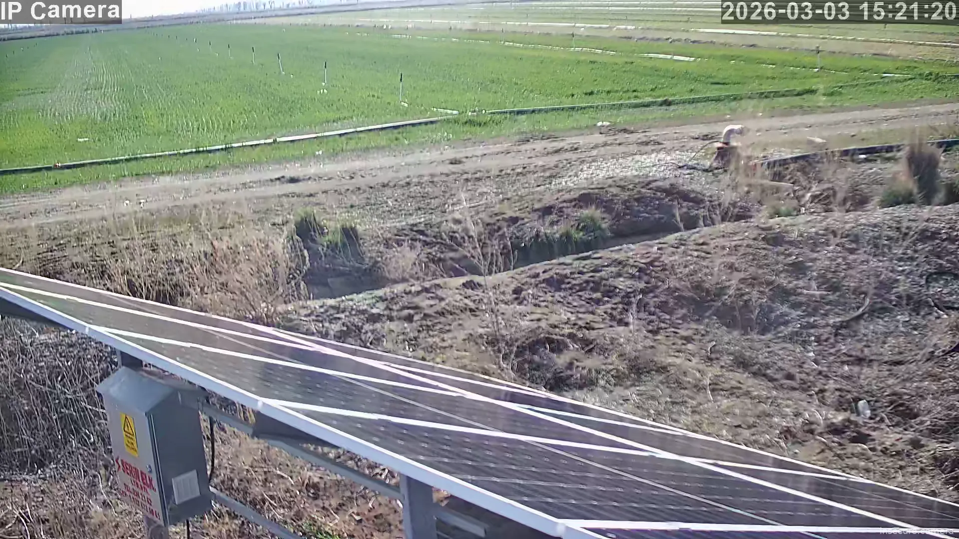 Capture from Mar 03, 2026 at 07:21 AM