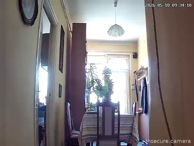 Camera in Hungary