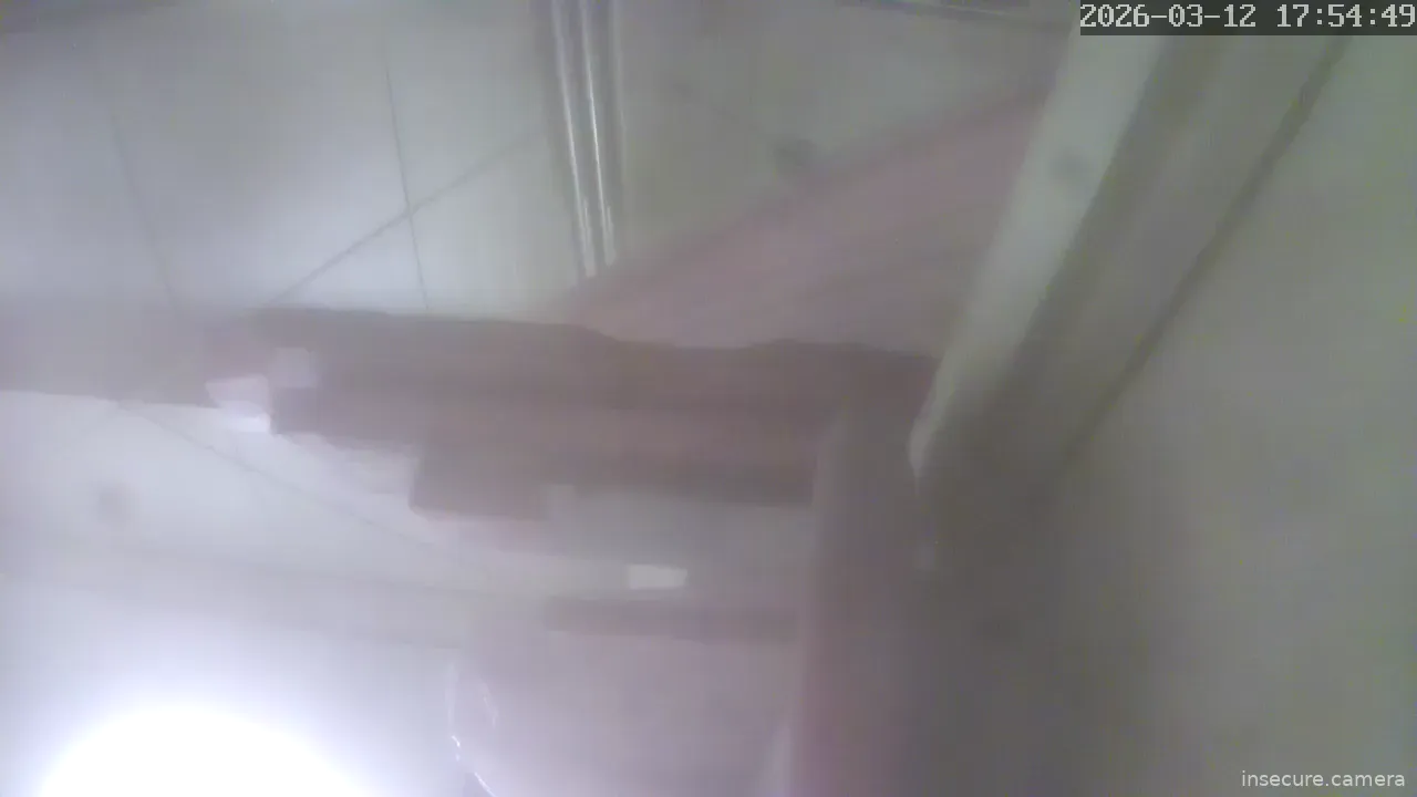 Capture from Mar 12, 2026 at 08:55 AM