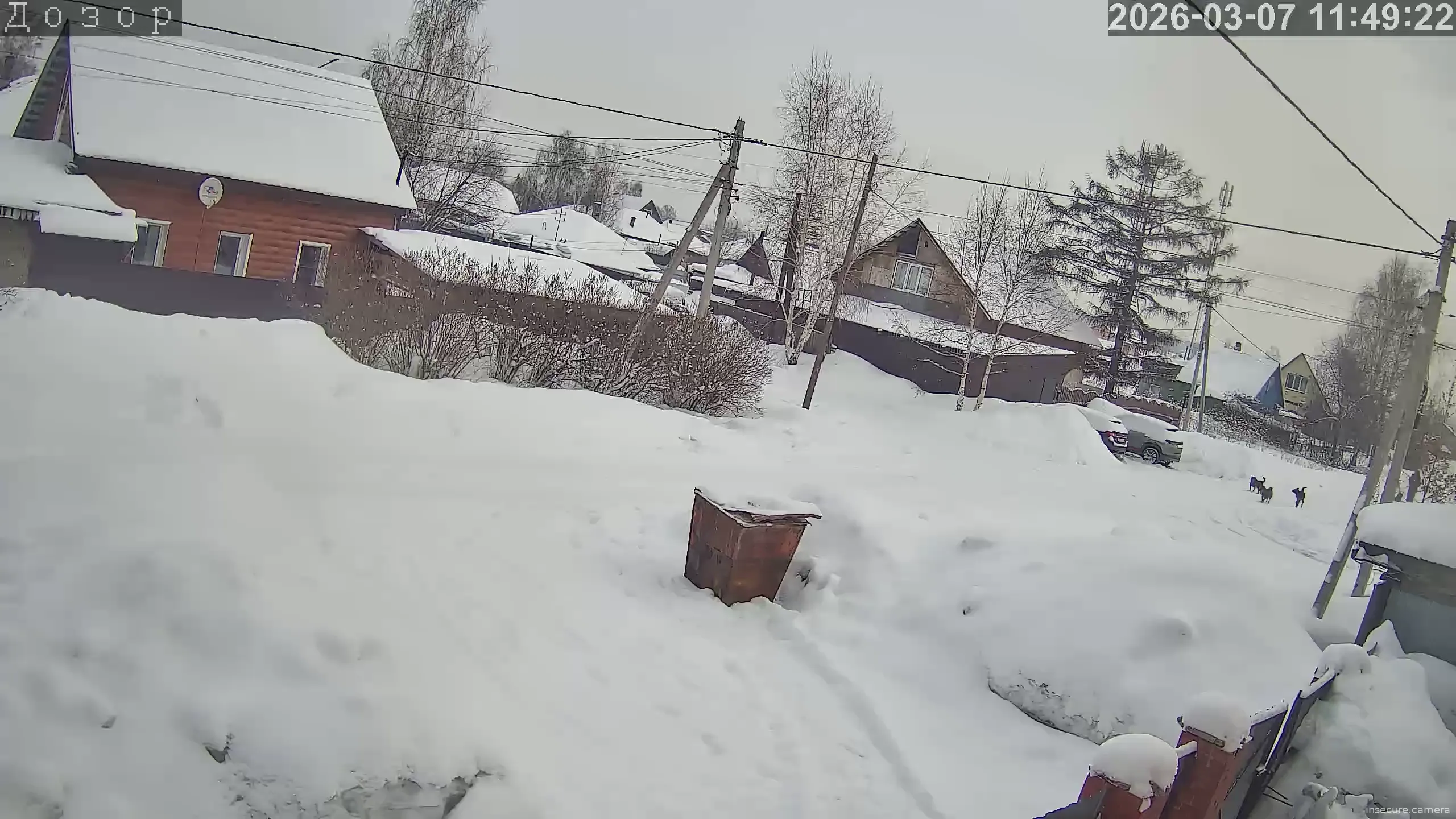 Capture from Mar 07, 2026 at 04:49 AM