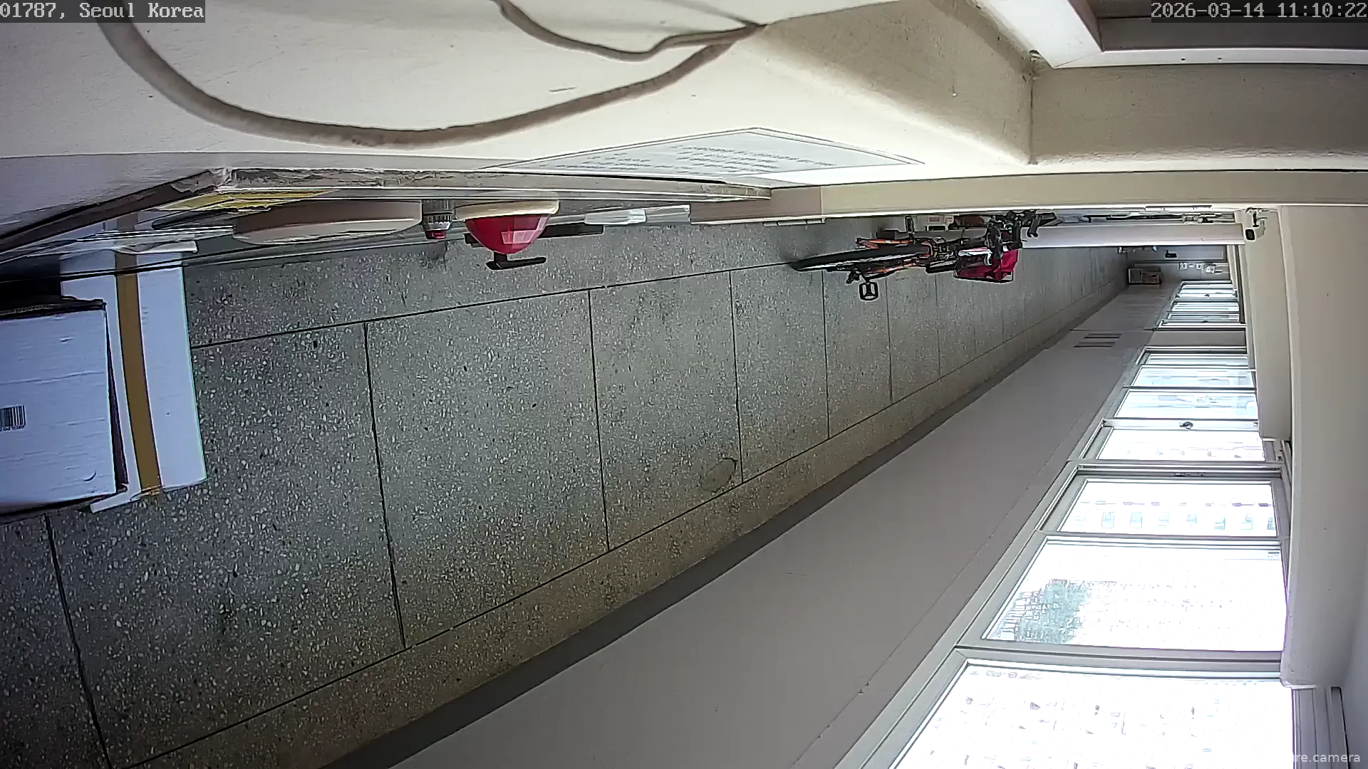 Camera in South Korea