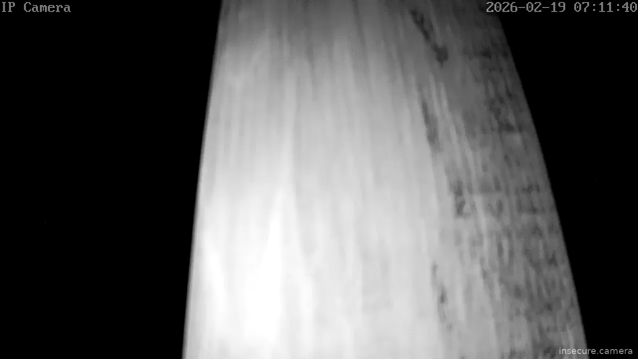 Capture from Feb 19, 2026 at 12:12 PM