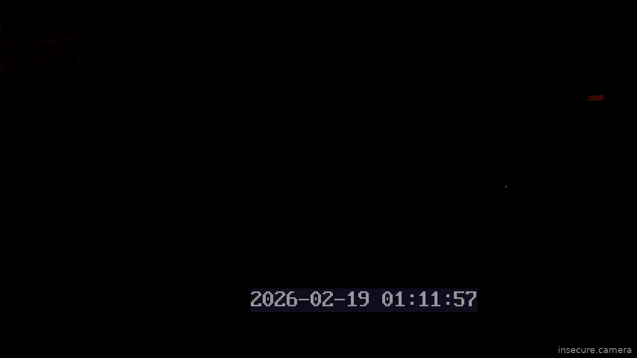 Capture from Feb 19, 2026 at 01:12 AM