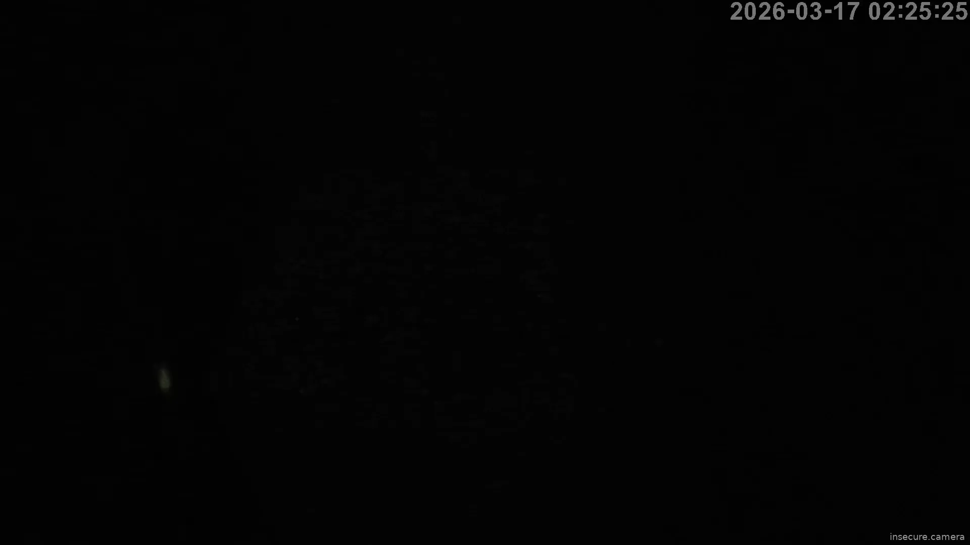 Capture from Mar 17, 2026 at 01:25 AM