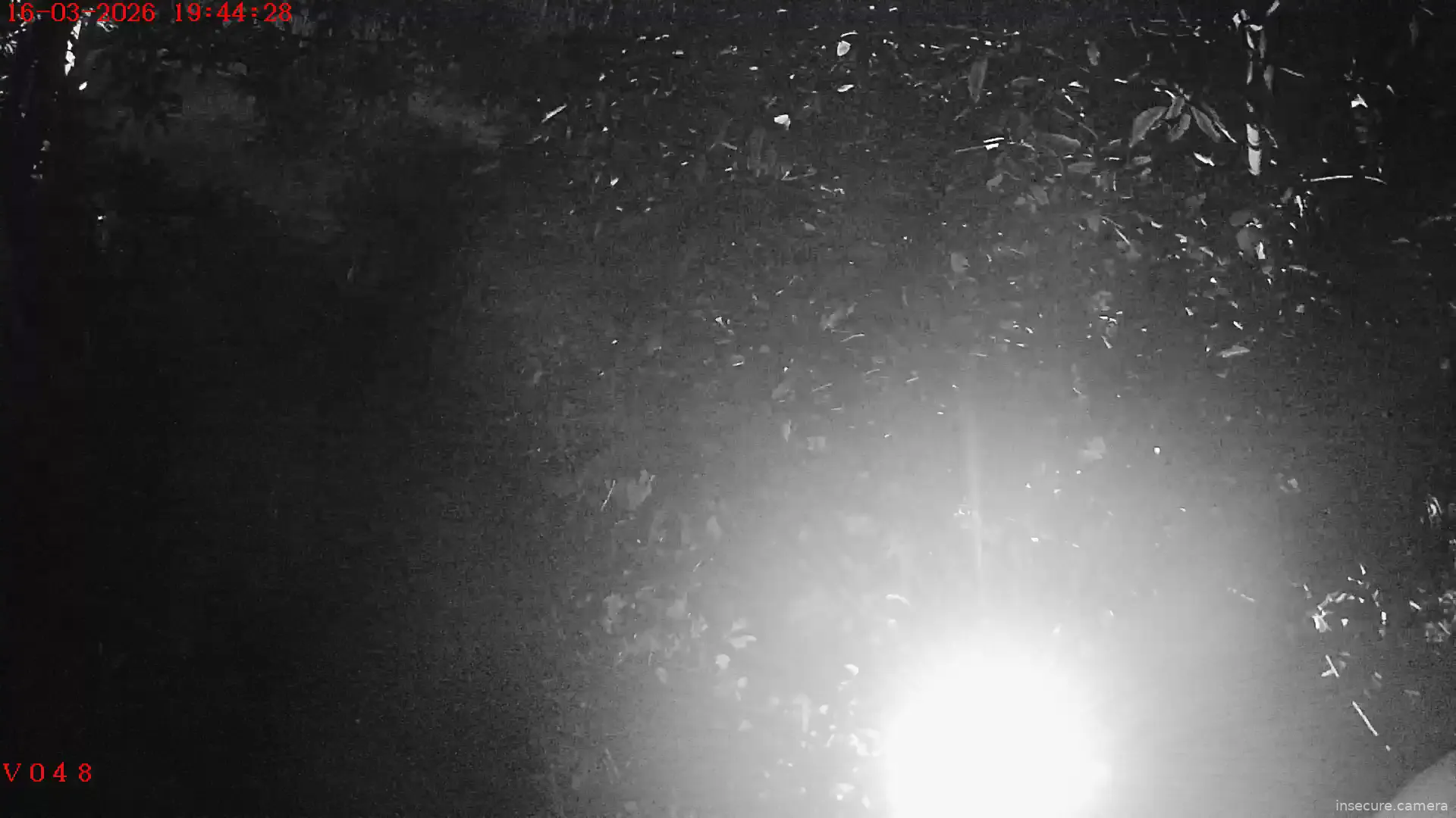 Capture from Mar 16, 2026 at 01:11 PM