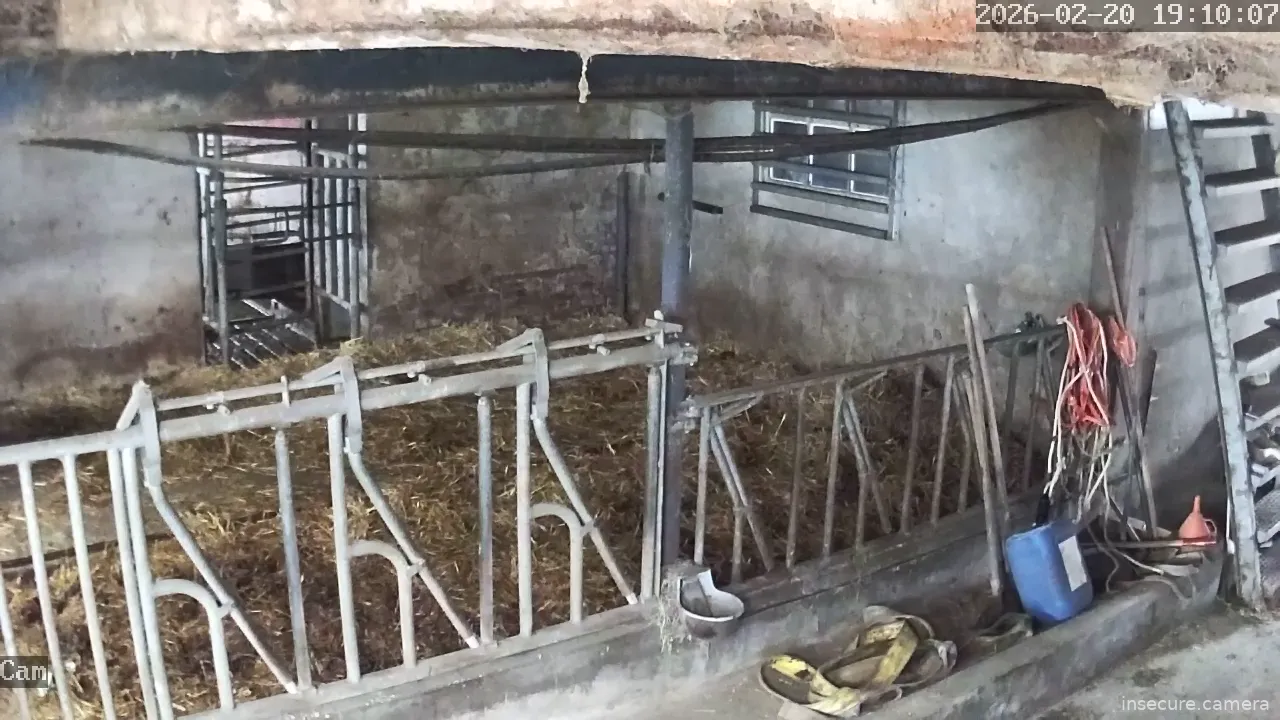 Capture from Feb 20, 2026 at 11:10 AM