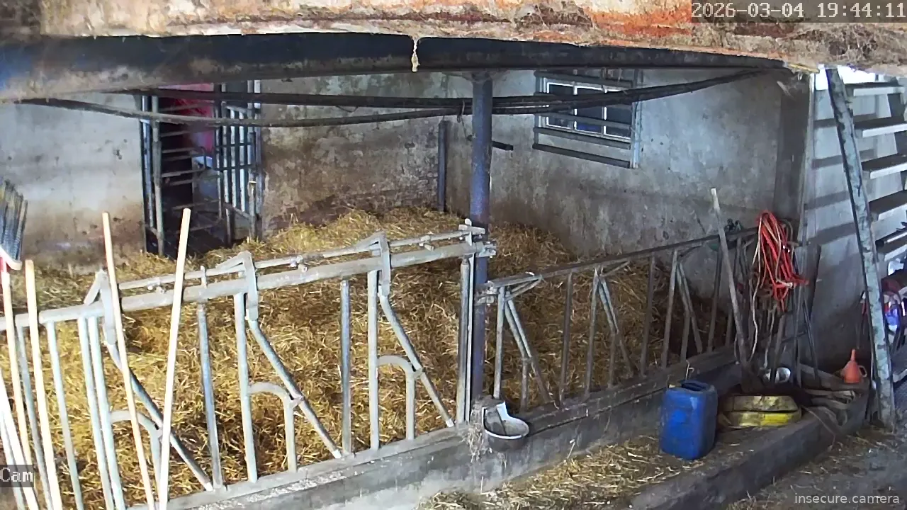 Capture from Mar 04, 2026 at 11:44 AM