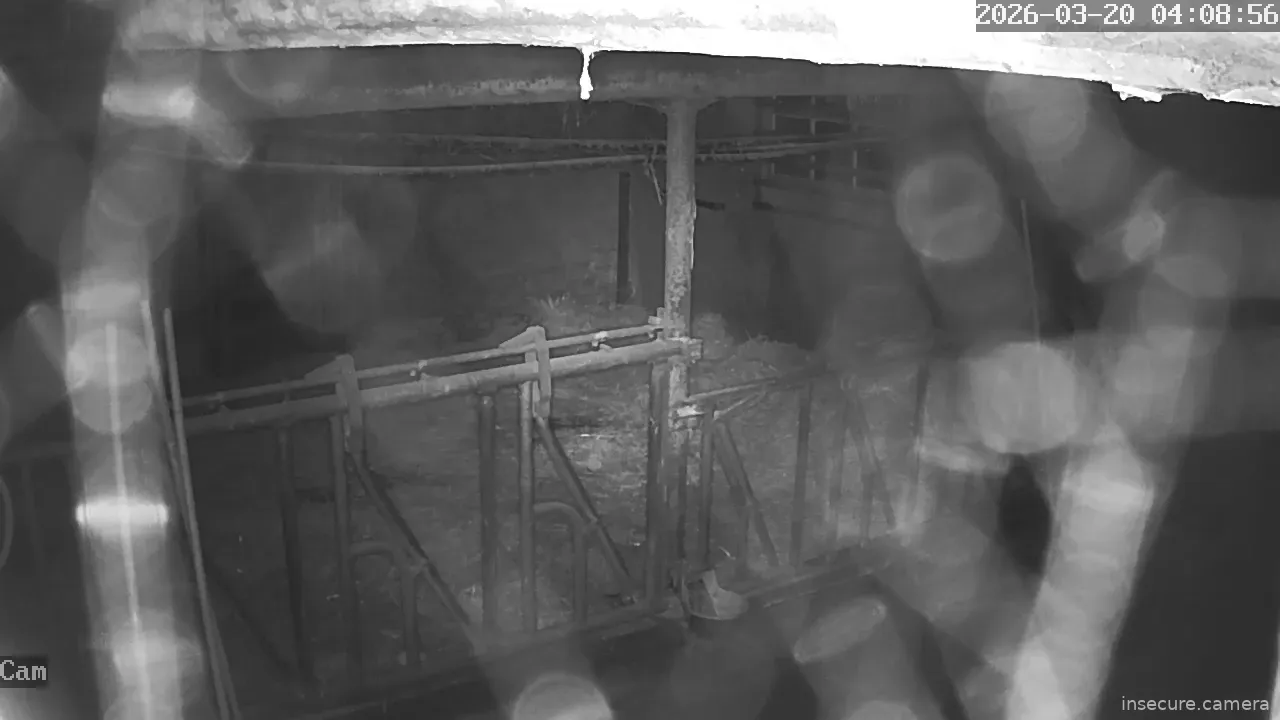 Capture from Mar 19, 2026 at 08:09 PM