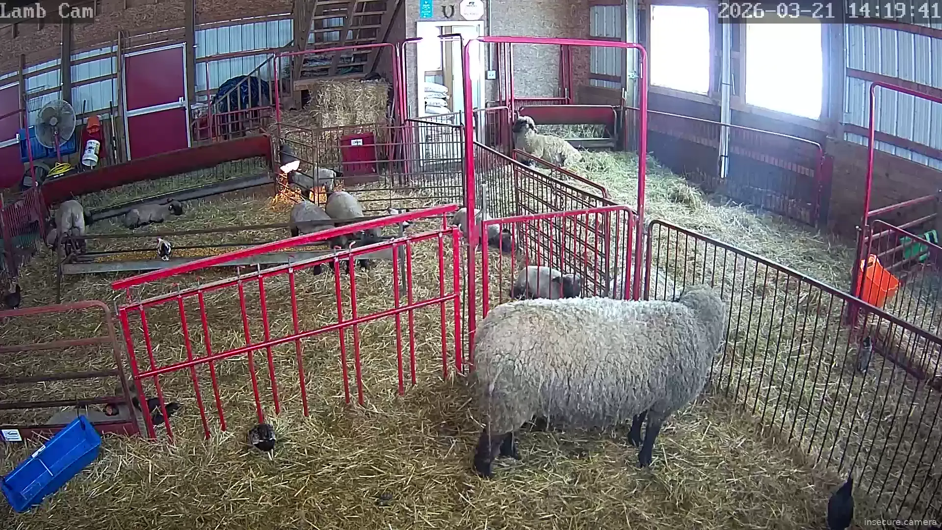 Capture from Mar 21, 2026 at 06:20 PM