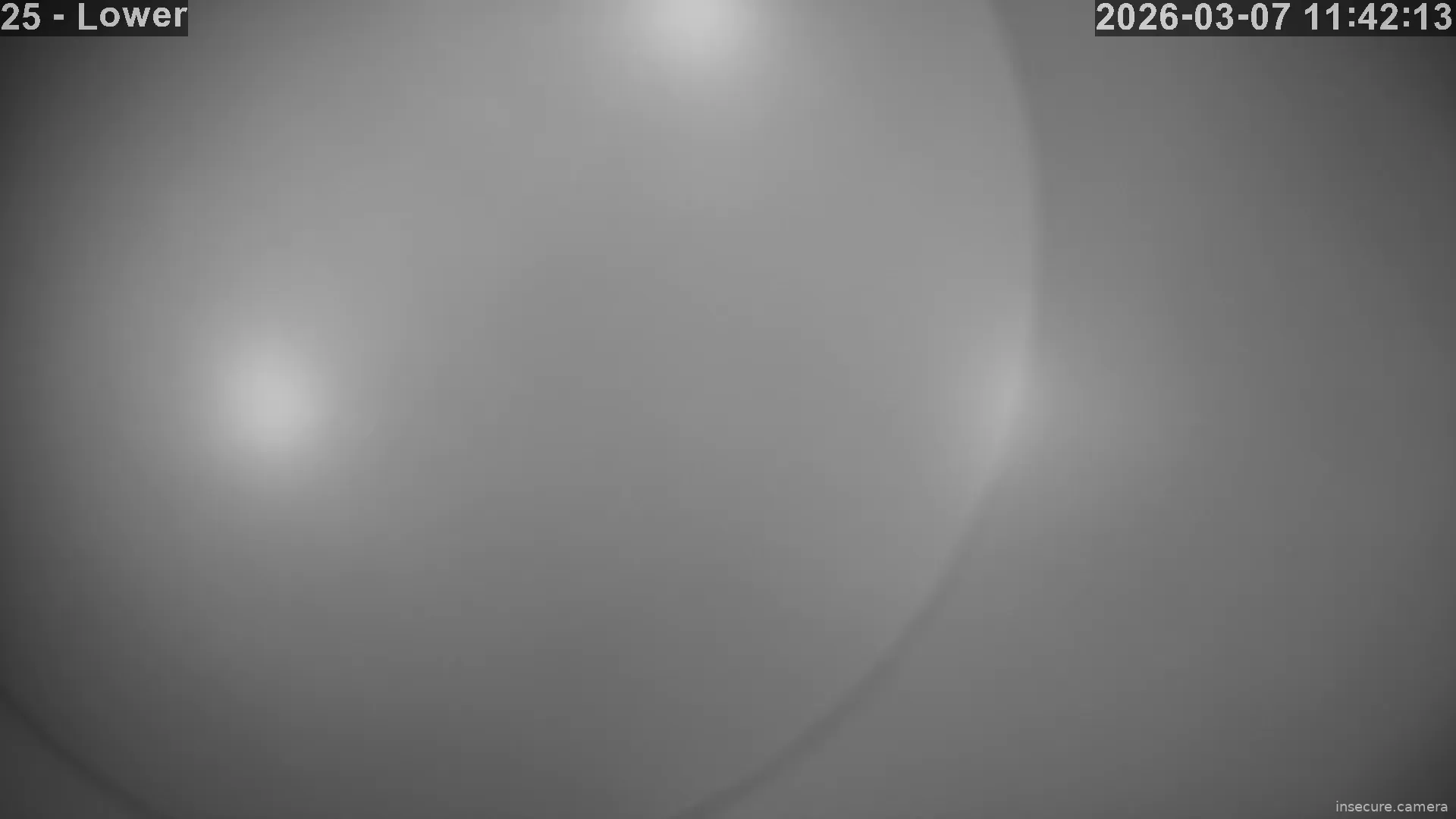 Capture from Mar 07, 2026 at 07:42 PM