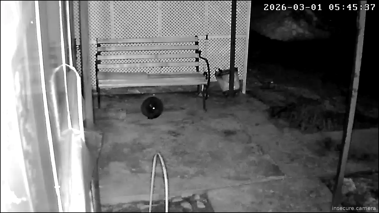 Capture from Mar 01, 2026 at 03:45 AM